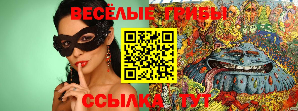 Наркошоп  Меф МЯУ МЯУ  Амфетамин   Кокаин  Вход с VPN  Гашиш  МЕФ   Выкса  Конопля 